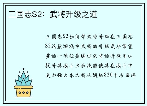 三国志S2：武将升级之道